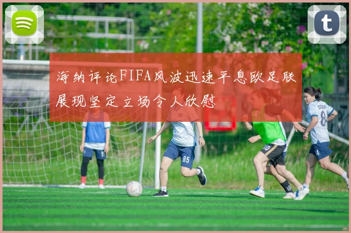 海纳评论FIFA风波迅速平息欧足联展现坚定立场令人欣慰